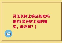 灵芝长树上嘛还能吃吗图片(灵芝树上结的果实，能吃吗？)