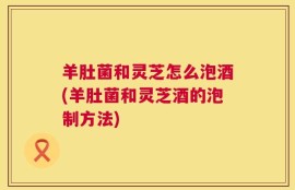 羊肚菌和灵芝怎么泡酒(羊肚菌和灵芝酒的泡制方法)