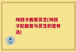 炖鸽子鹿茸灵芝(炖鸽子配鹿茸与灵芝的营养汤)