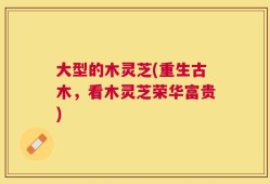 大型的木灵芝(重生古木，看木灵芝荣华富贵)