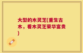 大型的木灵芝(重生古木，看木灵芝荣华富贵)