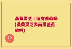 桑黄灵芝上面有苔藓吗(桑黄灵芝表面覆盖苔藓吗)