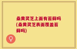 桑黄灵芝上面有苔藓吗(桑黄灵芝表面覆盖苔藓吗)