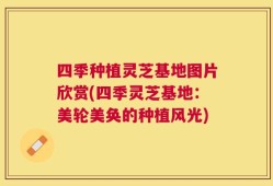 四季种植灵芝基地图片欣赏(四季灵芝基地：美轮美奂的种植风光)