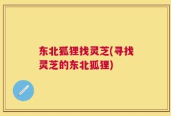 东北狐狸找灵芝(寻找灵芝的东北狐狸)