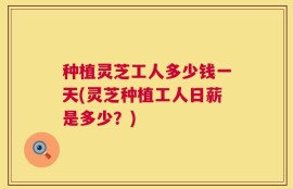 种植灵芝工人多少钱一天(灵芝种植工人日薪是多少？)