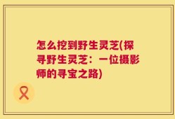怎么挖到野生灵芝(探寻野生灵芝：一位摄影师的寻宝之路)