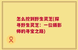 怎么挖到野生灵芝(探寻野生灵芝：一位摄影师的寻宝之路)