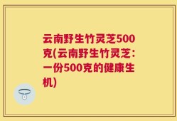 云南野生竹灵芝500克(云南野生竹灵芝：一份500克的健康生机)