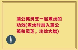 蒲公英灵芝一起煮水的功效(煮水时加入蒲公英和灵芝，功效大增)