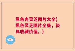 黑色肉灵芝图片大全(黑色灵芝图片全集，极具收藏价值。)