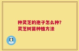 种灵芝的孢子怎么种？灵芝树苗种植方法