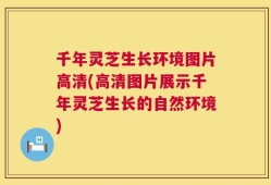 千年灵芝生长环境图片高清(高清图片展示千年灵芝生长的自然环境)