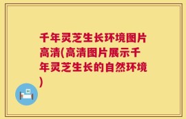 千年灵芝生长环境图片高清(高清图片展示千年灵芝生长的自然环境)