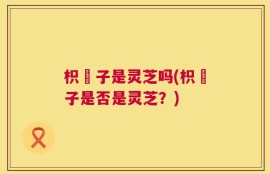 枳椇子是灵芝吗(枳椇子是否是灵芝？)