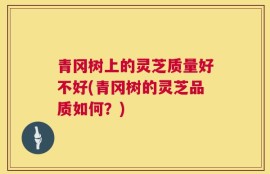 青冈树上的灵芝质量好不好(青冈树的灵芝品质如何？)