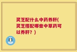 灵芝配什么中药养肝(灵芝搭配哪些中草药可以养肝？)