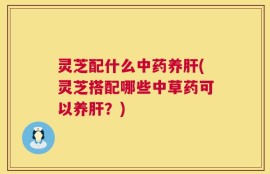 灵芝配什么中药养肝(灵芝搭配哪些中草药可以养肝？)