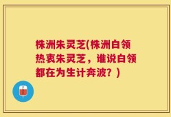 株洲朱灵芝(株洲白领热衷朱灵芝，谁说白领都在为生计奔波？)