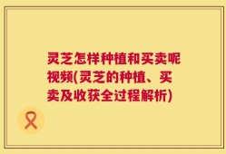 灵芝怎样种植和买卖呢视频(灵芝的种植、买卖及收获全过程解析)