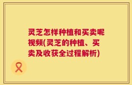 灵芝怎样种植和买卖呢视频(灵芝的种植、买卖及收获全过程解析)