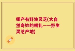 哪产有野生灵芝(大自然奇妙的赐礼——野生灵芝产地)