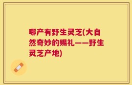 哪产有野生灵芝(大自然奇妙的赐礼——野生灵芝产地)