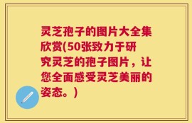 灵芝孢子的图片大全集欣赏(50张致力于研究灵芝的孢子图片，让您全面感受灵芝美丽的姿态。)