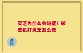 灵芝为什么会破壁？破壁机打灵芝怎么做