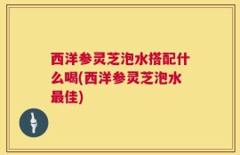 西洋参灵芝泡水搭配什么喝(西洋参灵芝泡水最佳)