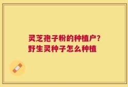 灵芝孢子粉的种植户？野生灵种子怎么种植