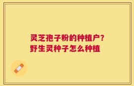 灵芝孢子粉的种植户？野生灵种子怎么种植