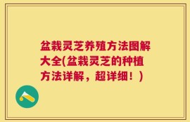 盆栽灵芝养殖方法图解大全(盆栽灵芝的种植方法详解，超详细！)