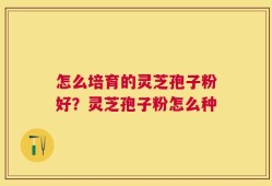 怎么培育的灵芝孢子粉好？灵芝孢子粉怎么种