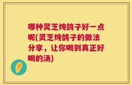 哪种灵芝炖鸽子好一点呢(灵芝炖鸽子的做法分享，让你喝到真正好喝的汤)