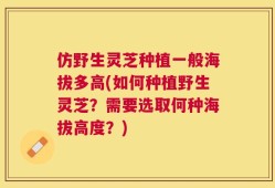 仿野生灵芝种植一般海拔多高(如何种植野生灵芝？需要选取何种海拔高度？)