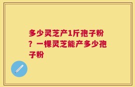 多少灵芝产1斤孢子粉？一棵灵芝能产多少孢子粉