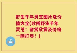 野生千年灵芝图片及价值大全(珍稀野生千年灵芝：鉴赏欣赏及价格一网打尽！)