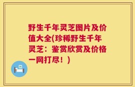 野生千年灵芝图片及价值大全(珍稀野生千年灵芝：鉴赏欣赏及价格一网打尽！)