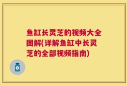 鱼缸长灵芝的视频大全图解(详解鱼缸中长灵芝的全部视频指南)
