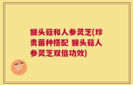 猴头菇和人参灵芝(珍贵菌种搭配 猴头菇人参灵芝双倍功效)