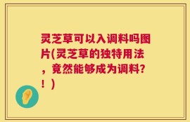 灵芝草可以入调料吗图片(灵芝草的独特用法，竟然能够成为调料？！)