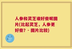 人参和灵芝谁好些呢图片(比起灵芝，人参更好些？- 图片比较)