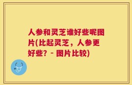 人参和灵芝谁好些呢图片(比起灵芝，人参更好些？- 图片比较)
