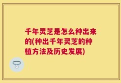 千年灵芝是怎么种出来的(种出千年灵芝的种植方法及历史发展)