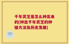 千年灵芝是怎么种出来的(种出千年灵芝的种植方法及历史发展)