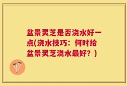 盆景灵芝是否浇水好一点(浇水技巧：何时给盆景灵芝浇水最好？)