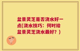 盆景灵芝是否浇水好一点(浇水技巧：何时给盆景灵芝浇水最好？)