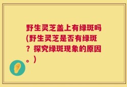 野生灵芝盖上有绿斑吗(野生灵芝是否有绿斑？探究绿斑现象的原因。)