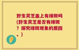 野生灵芝盖上有绿斑吗(野生灵芝是否有绿斑？探究绿斑现象的原因。)